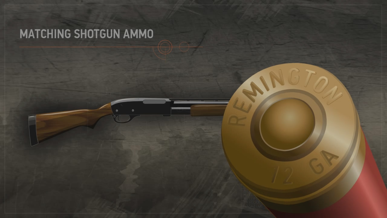 Illustration showing the head stamp on a shotshell with a pump action rifle in the background.