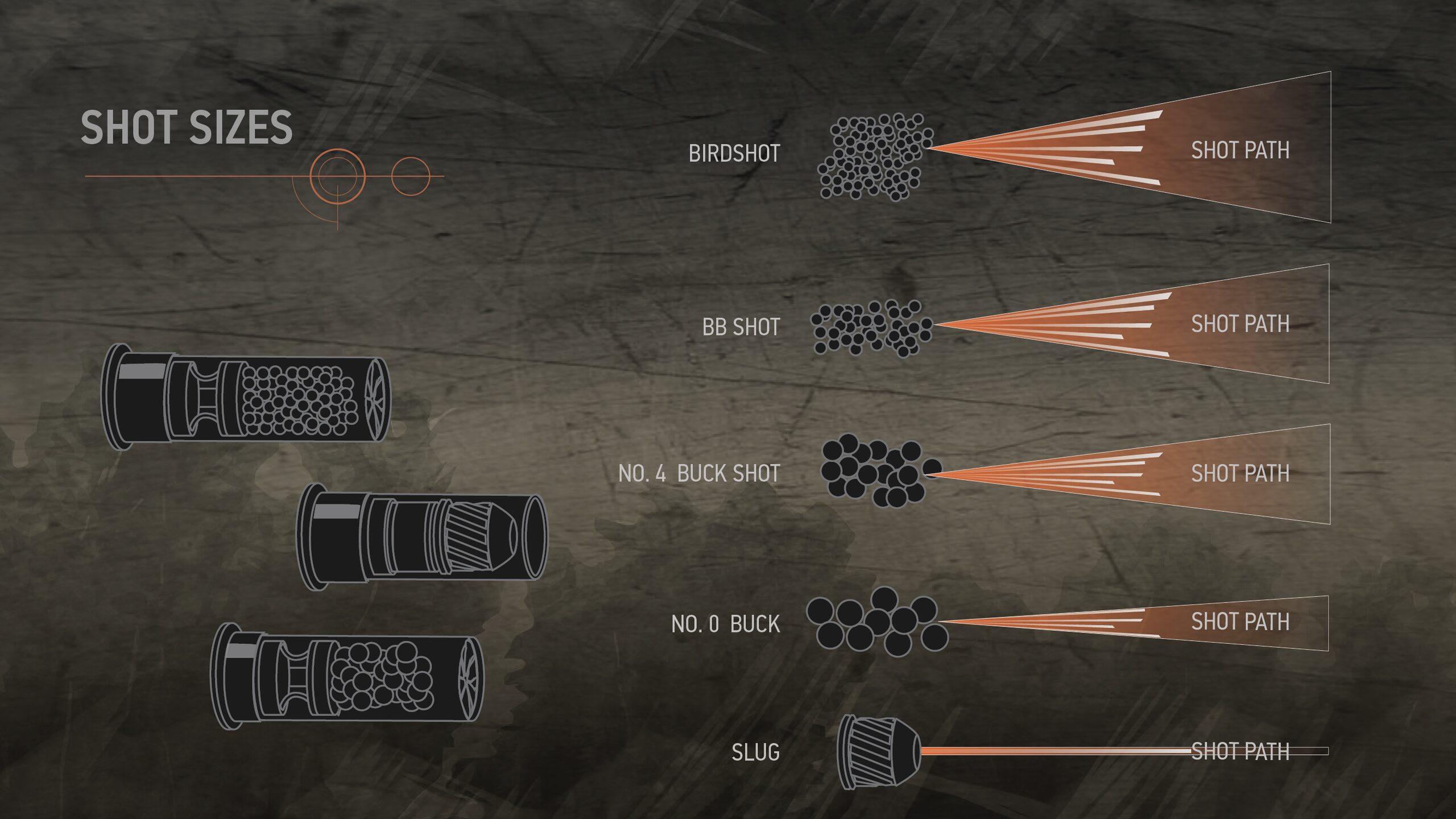 Illustration of different shot sizes and their shot paths. Shot types shown include birdshot, bb shot, no. 4 buck shot, no. 0 buck, and slug.