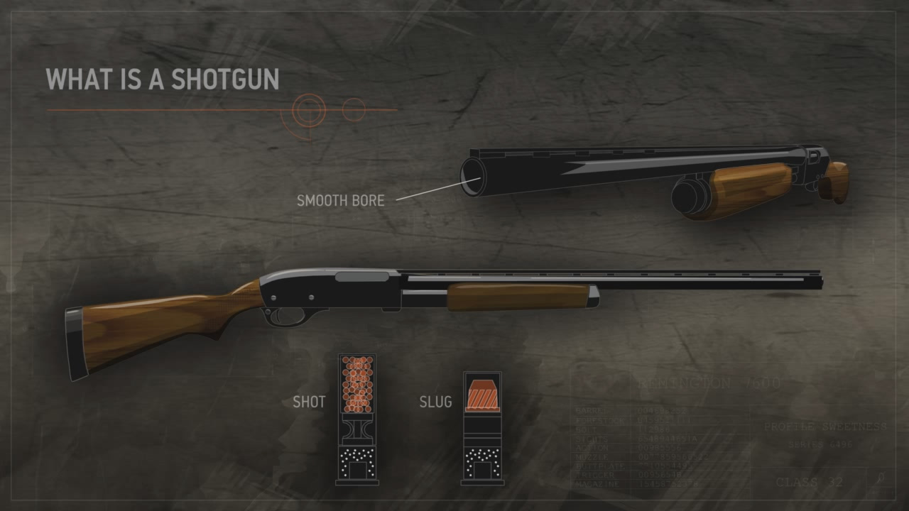 Illustration of a shotgun.