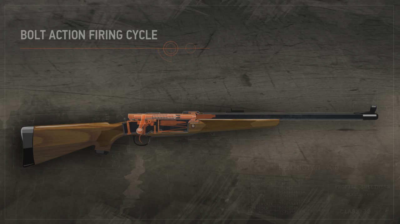 Illustration shows the inside of a loaded bolt action rifle's closed action.