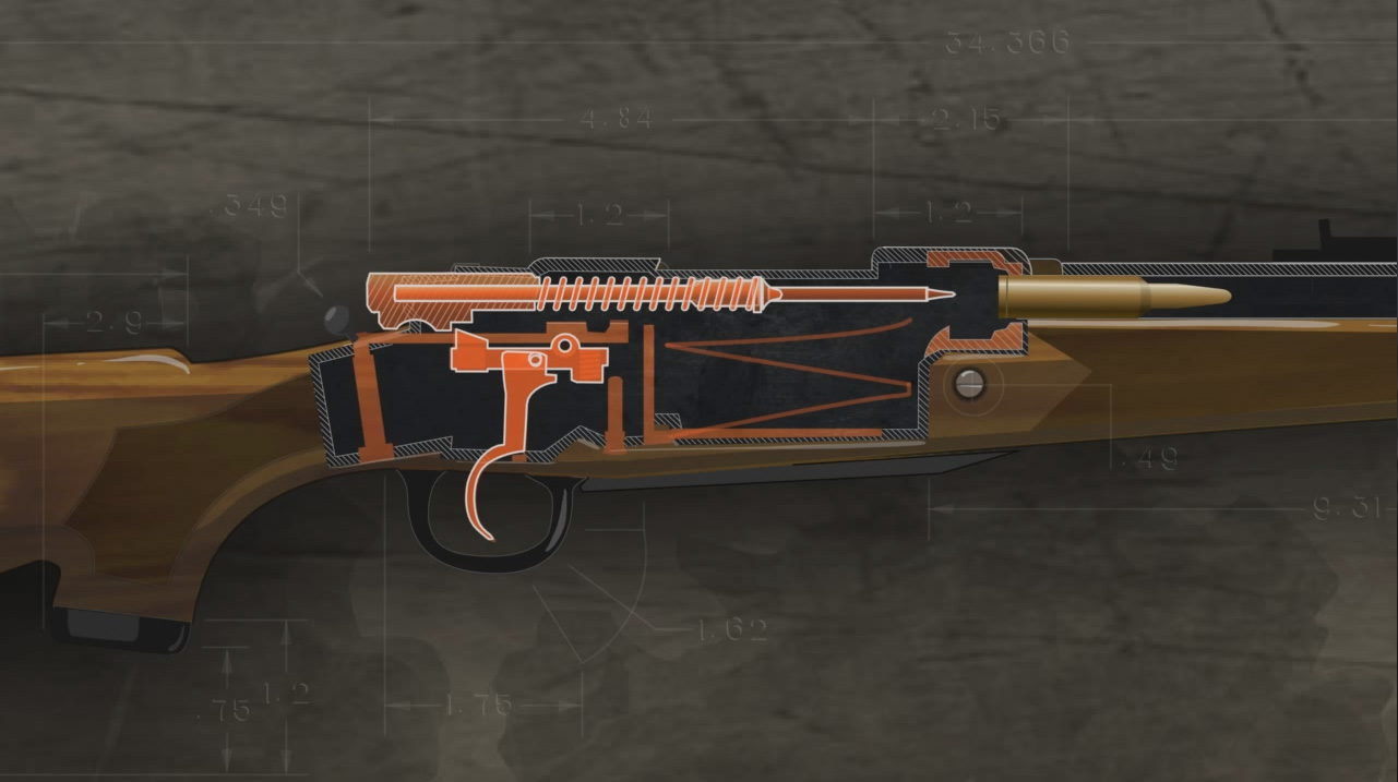 Illustration shows the inside of a loaded bolt action rifle ready to be fired.