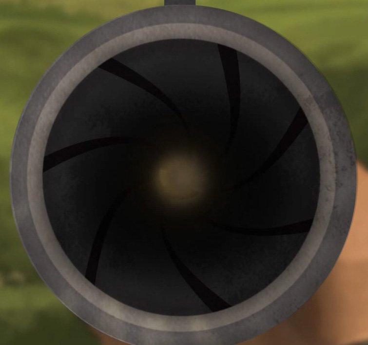 Illustration of the view down a rifle's muzzle showing its rifling.