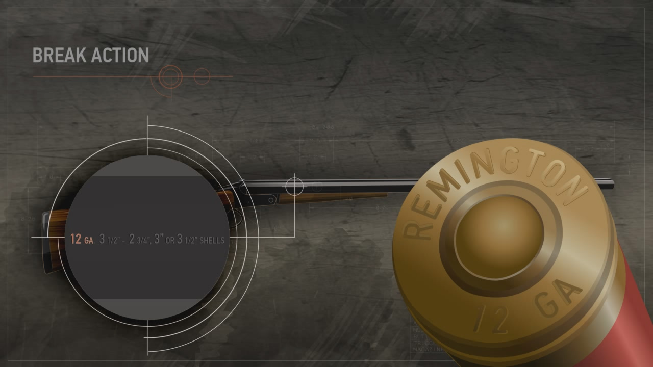Illustration of a break action shotgun with a close up on the data stamp and the head stamp of a shotshell.