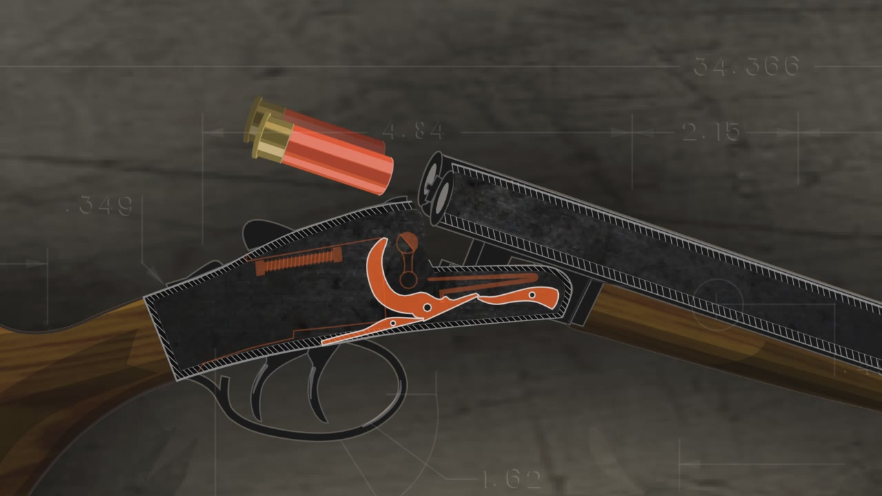 Illustration of the inside of a double barrel break action shotgun with two shotshells being loaded into the chambers.