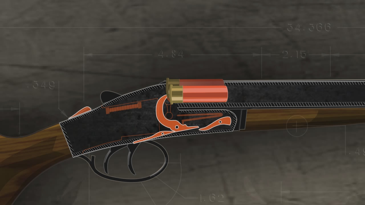 Illustration of the inside of a loaded double barrel break action shotgun.