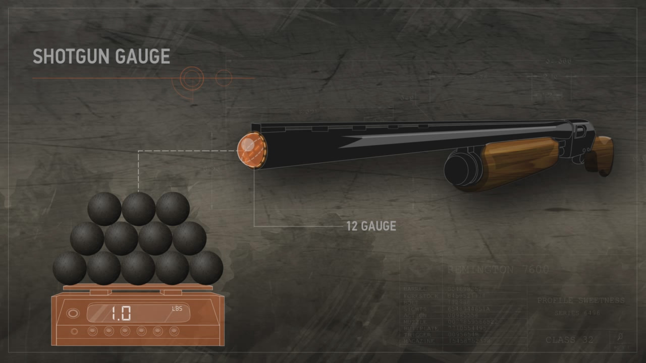Illustration showing how shotgun gauge is measured.