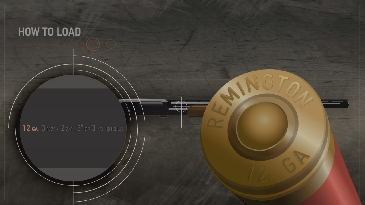 Illustration of a pump action shotgun with a close up on the data stamp and shotshell's head stamp.