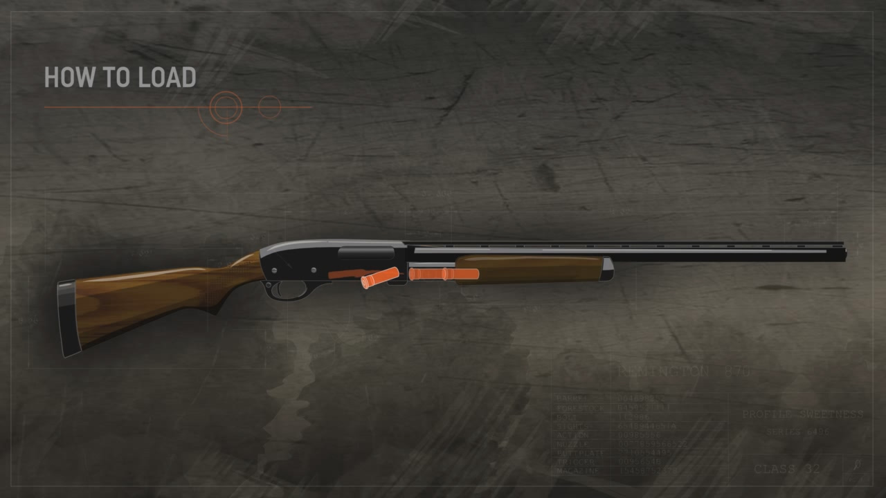 Illustration of ammunition entering a pump action shotgun's magazine.