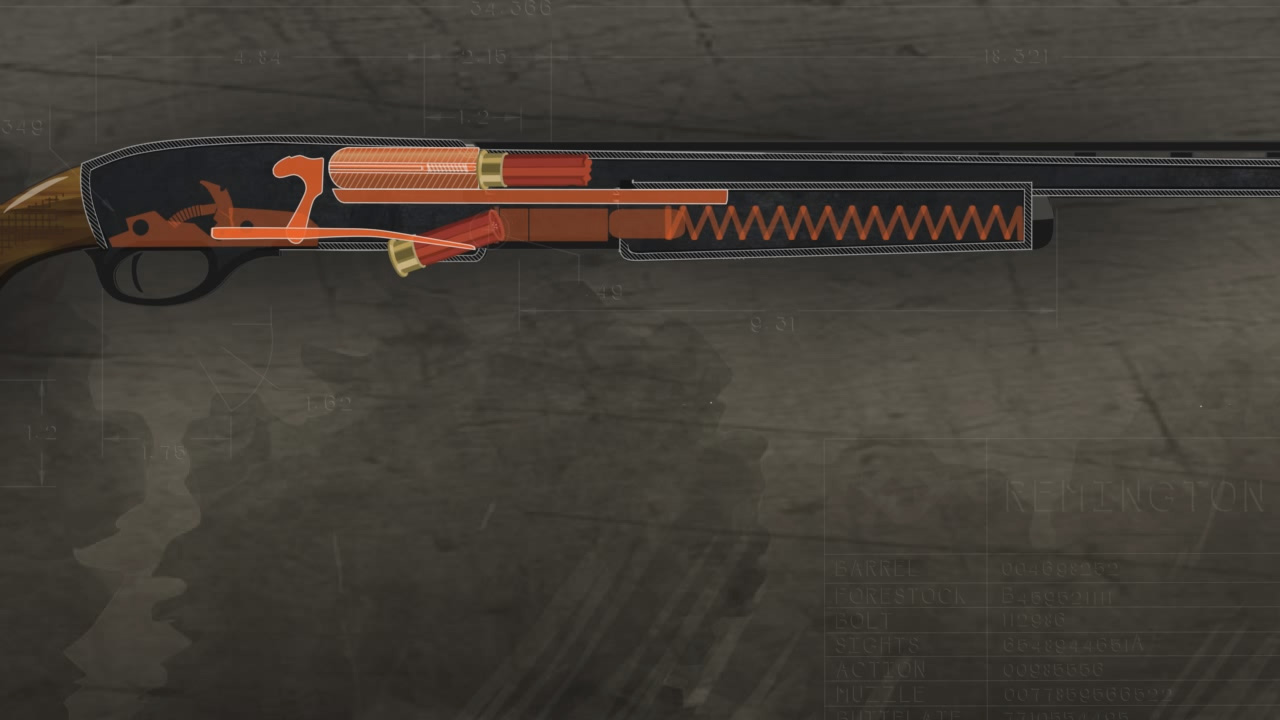 Illustration of ammunition being loaded into a pump action shotgun.