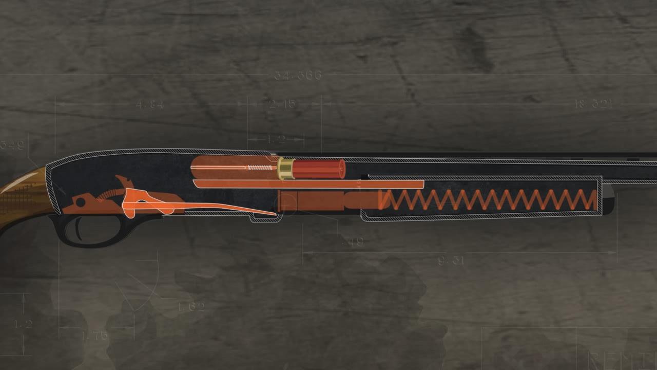 Illustration of the inside of a loaded pump action shotgun ready to shoot.