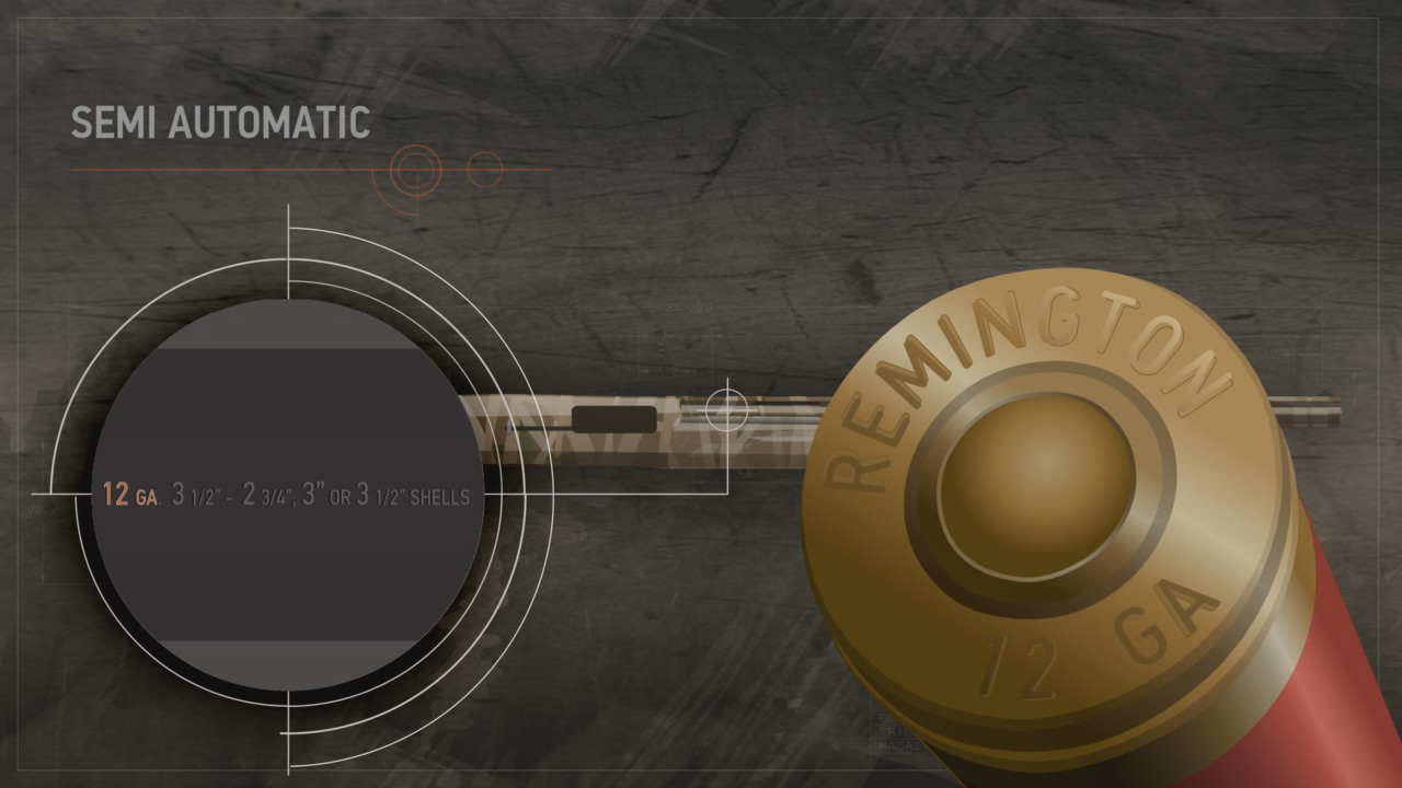 Illustration of a semi-automatic action shotgun with a close up on its data stamp and shotshell's head stamp.