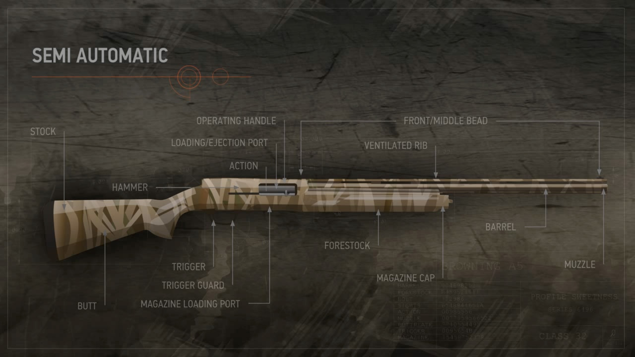Illustration showing the components of a semi-automatic action shotgun. Components shown include the muzzle, barrel, front and middle bead sights, ventilated rib, magazine cap, forestock, operating handle, loading/ejection port, action, magazine loading port, trigger guard, trigger, hammer, butt and stock.