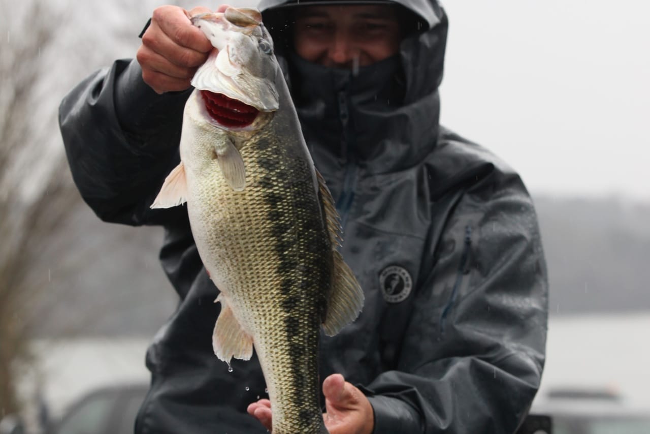 Carl Catching Bass