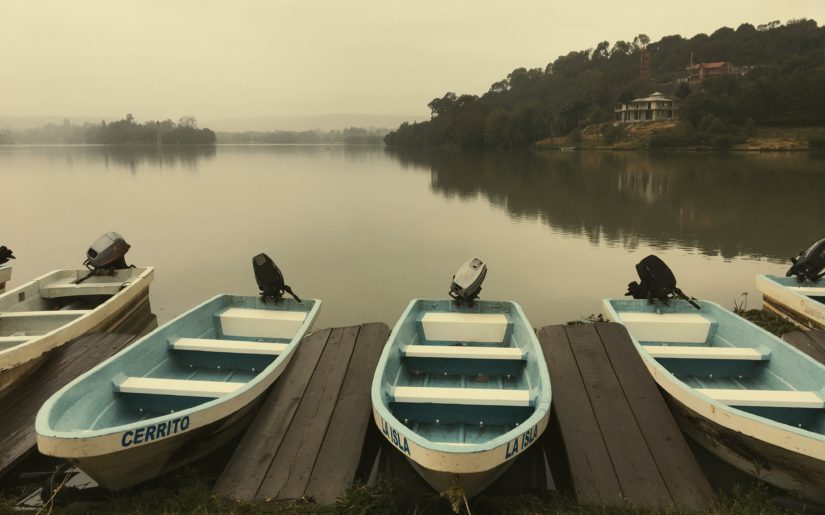 Five fishing boats with outboard motors docked on the side of a calm lake.