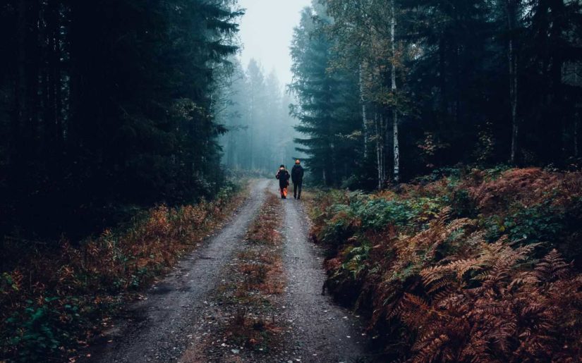 Two hunters wearing blaze orange, walking down a dirt path lined with ferns and trees.