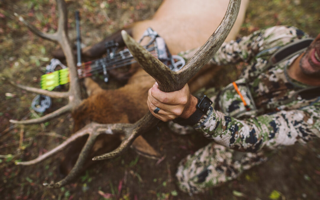 How to Field Dress Your Deer: 9 Tips [and 5 mistakes to avoid]