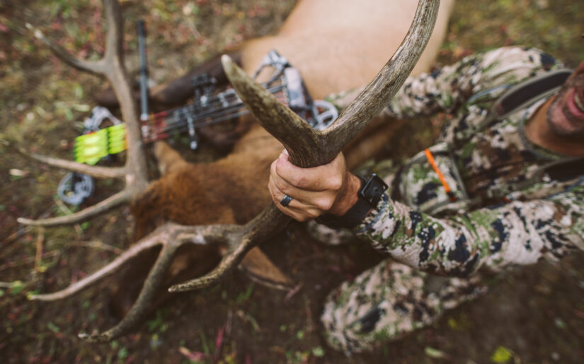 Hunter holding deer harvest