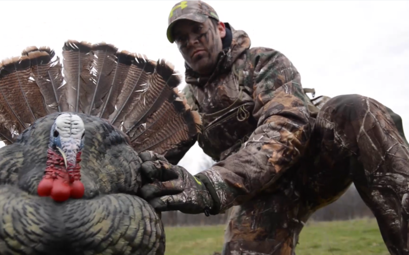 Turkey hunter setting up decoy