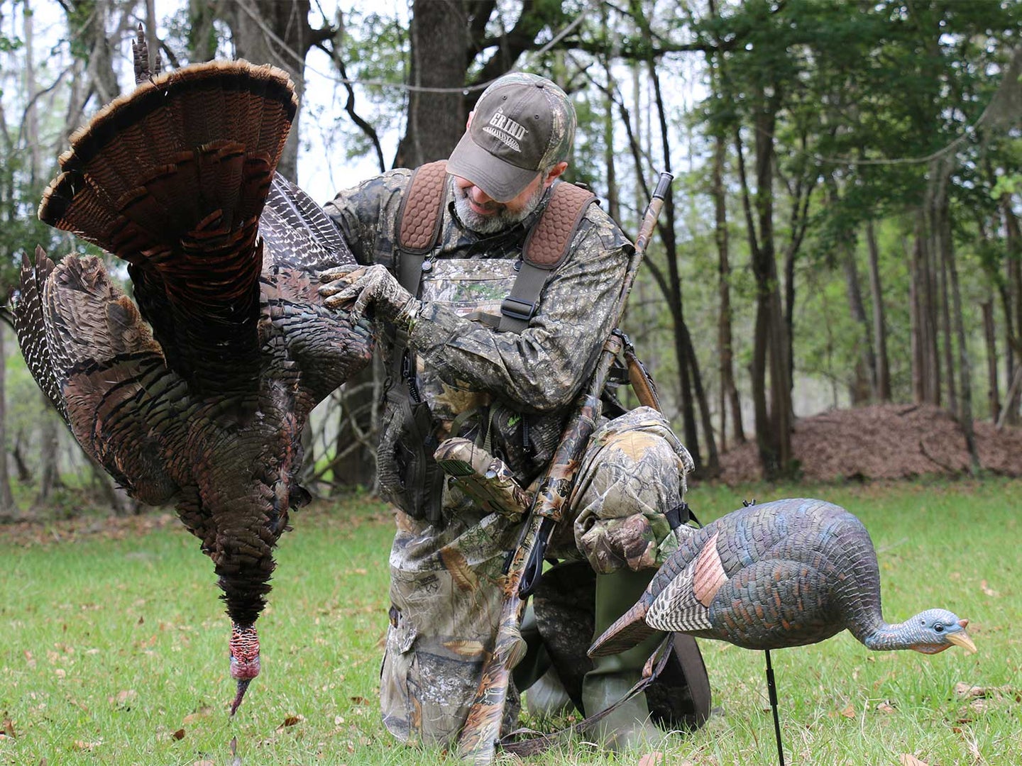 Turkey hunter setting up decoys